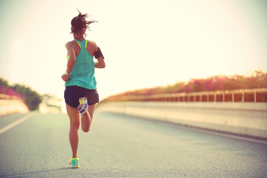 balancing the microbiome