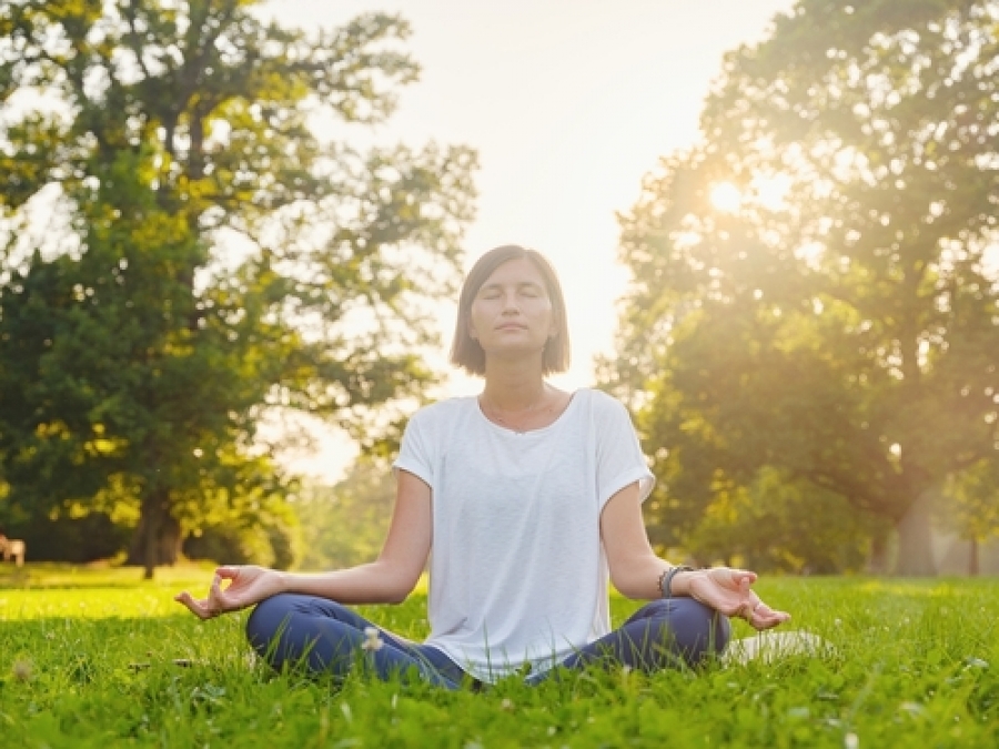 restore emotional control de stress supplements
