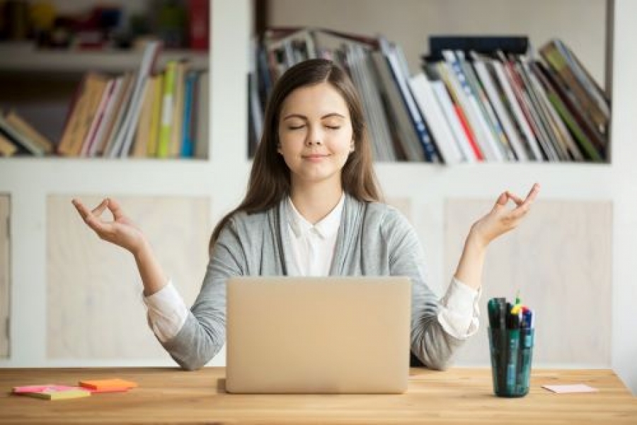 wellness de stress supplement